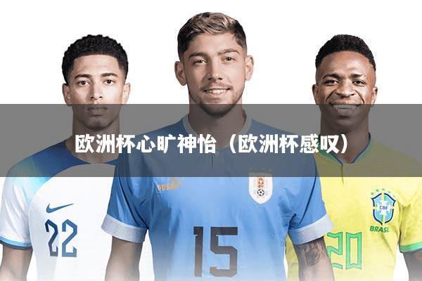 欧洲杯心旷神怡（欧洲杯感叹）