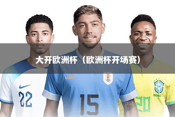 大开欧洲杯（欧洲杯开场赛）