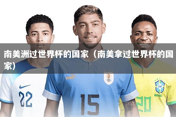 南美洲过世界杯的国家(南美拿过世界杯的国家)